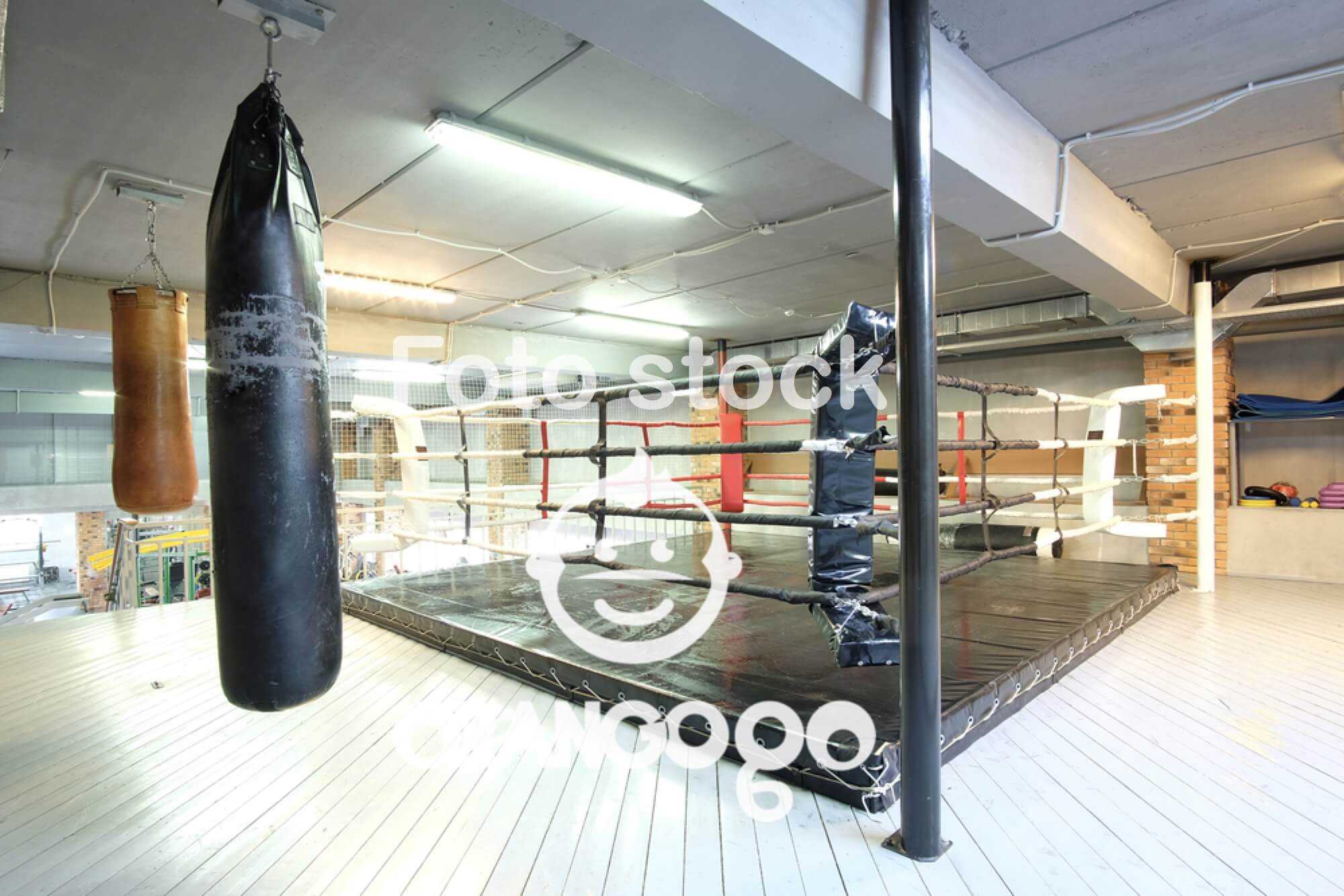 BOXING TEAM BRANCACCIO